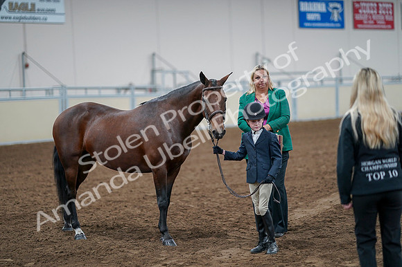 2020 - AB Morgan Horse - Fri, Sept 04 - 01019