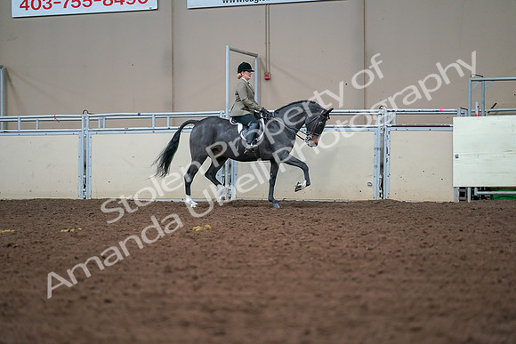 2019 Morgan Horse Show - Aug 30, 2019 - 20710