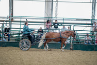 July 21, 2019 - 08991