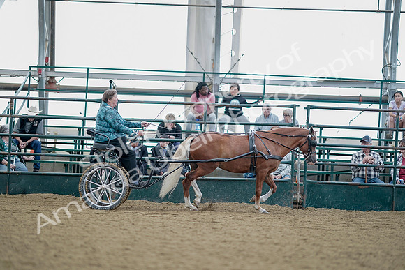 July 21, 2019 - 08991
