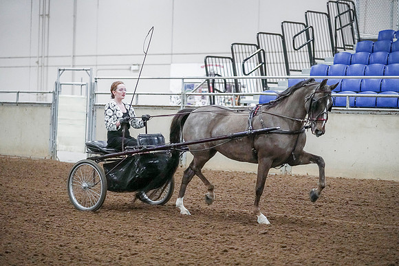 Spring Fling - Saturday - April 20, 2019  -  00291