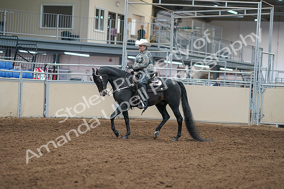 2020 - AB Morgan Horse - Fri, Sept 04 - 03498