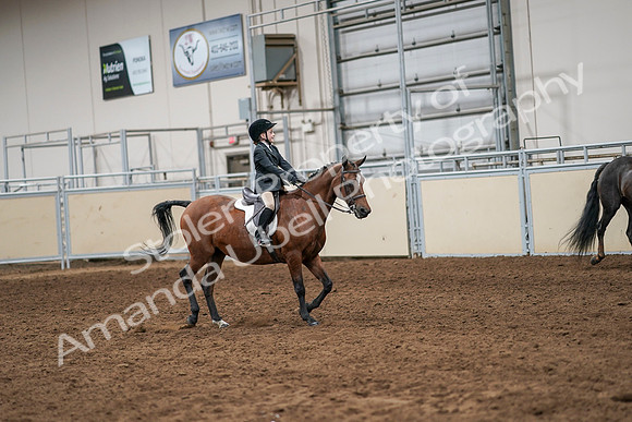 2020 - AB Morgan Horse - Sun, Sept 06 - 07985