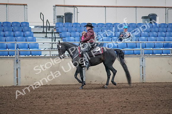 2019 Morgan Horse Show - Aug 31, 2019 - 10649