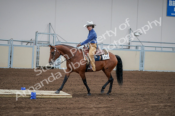 2020 - AB Morgan Horse - Fri, Sept 04 - 00162