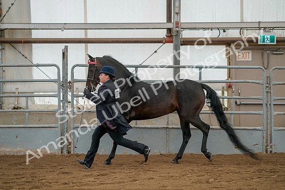 July 19, 2019 - 2084