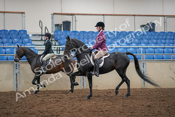 2019 Morgan Horse Show - Aug 30, 2019 - 23334