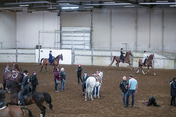 Spring Fling - Saturday - April 20, 2019  -  00343