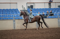 2019 Morgan Horse Show - Aug 31, 2019 - 07670
