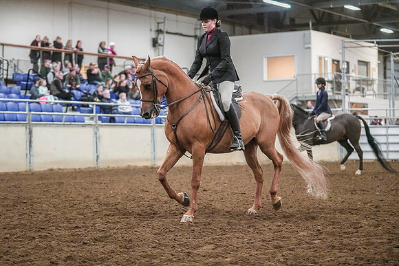 Spring Fling - Saturday - April 20, 2019  -  04513