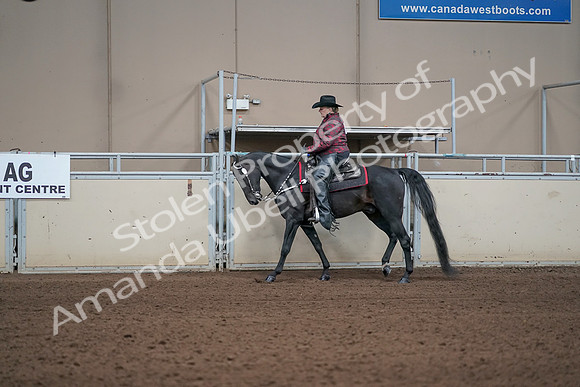 2019 Morgan Horse Show - Aug 31, 2019 - 10609