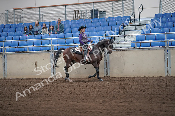 2019 Morgan Horse Show - Aug 31, 2019 - 10781