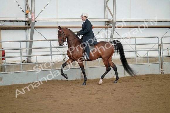 July 21, 2019 - 01550