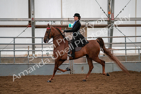 July 19, 2019 - 10318