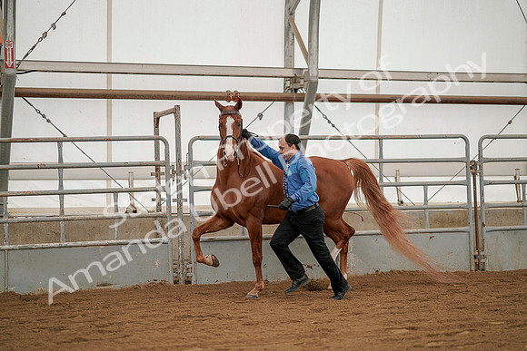 July 19, 2019 - 1377