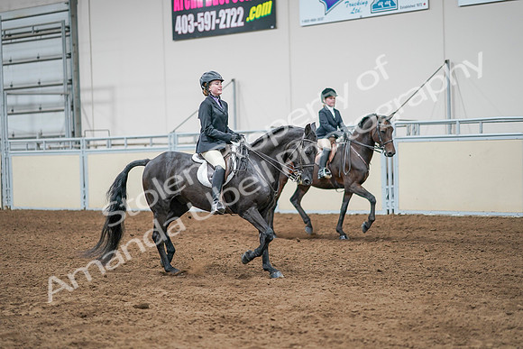 2020 - AB Morgan Horse - Sun, Sept 06 - 08138