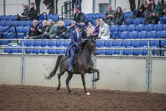 Spring Fling - Saturday - April 20, 2019  -  03930