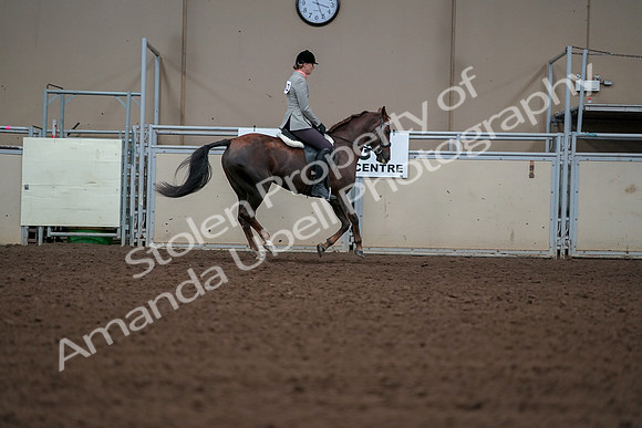 2019 Morgan Horse Show - Aug 30, 2019 - 18575