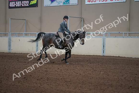 2019 Morgan Horse Show - Sept 01, 2019 - 11107