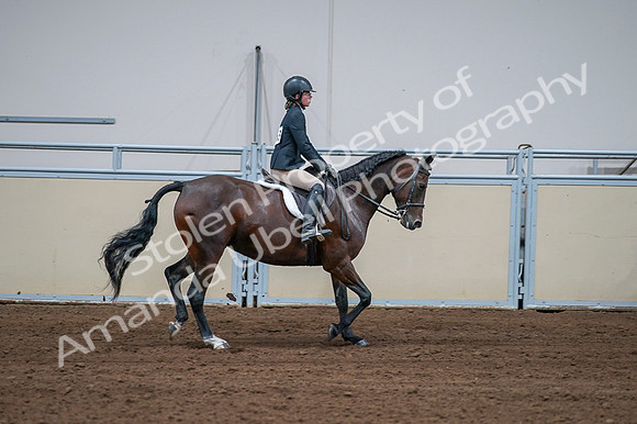 2020 - AB Morgan Horse - Fri, Sept 04 - 01814