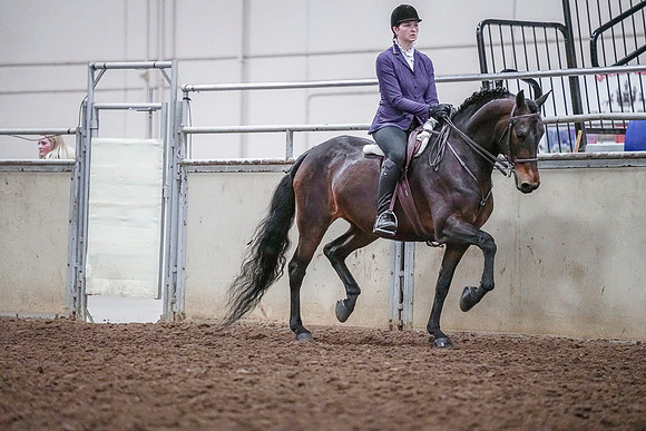 Spring Fling - Saturday - April 20, 2019  -  03829