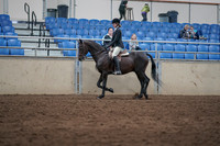 2019 Morgan Horse Show - Sept 01, 2019 - 09014