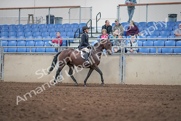 2019 Morgan Horse Show - Aug 31, 2019 - 19588