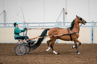 2020 - AB Morgan Horse - Sat, Sept 05 - 12452