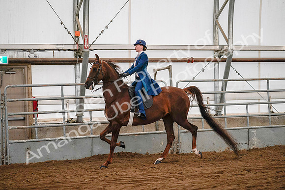 July 19, 2019 - 8955