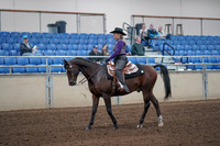 2019 Morgan Horse Show - Aug 31, 2019 - 10542