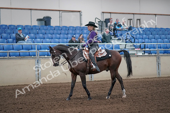 2019 Morgan Horse Show - Aug 31, 2019 - 10542