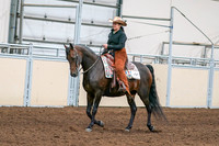 2020 - AB Morgan Horse - Sun, Sept 06 - 01536