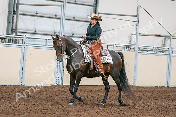 2020 - AB Morgan Horse - Sun, Sept 06 - 01536