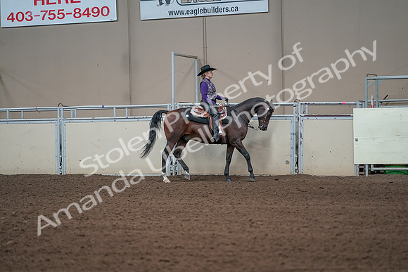 2019 Morgan Horse Show - Aug 31, 2019 - 10739