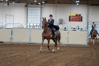 2020 - AB Morgan Horse - Sat, Sept 05 - 06031