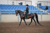 2019 Morgan Horse Show - Sept 01, 2019 - 11201