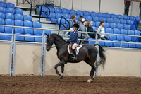 2020 - AB Morgan Horse - Sun, Sept 06 - 07667