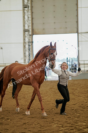 July 19, 2019 - 1102