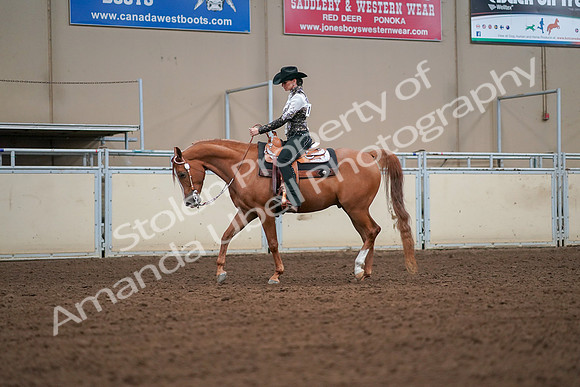 2019 Morgan Horse Show - Aug 30, 2019 - 16776