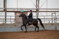 July 20, 2019 - 04204