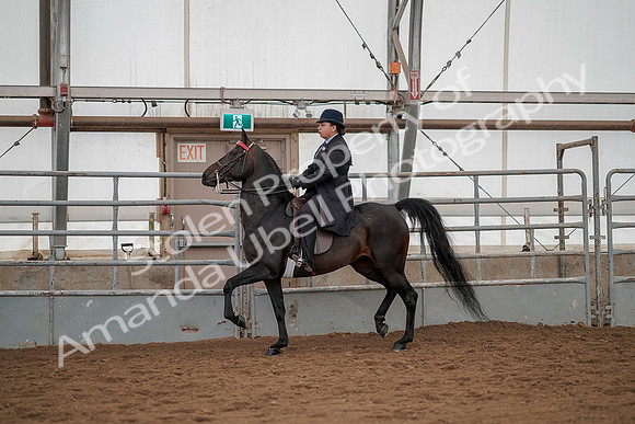 July 20, 2019 - 04204