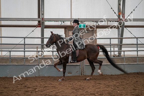July 19, 2019 - 13054