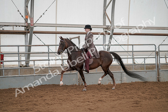 July 20, 2019 - 04241