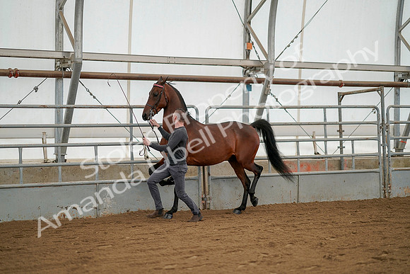 July 19, 2019 - 1245