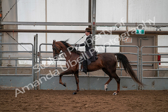 July 19, 2019 - 13033