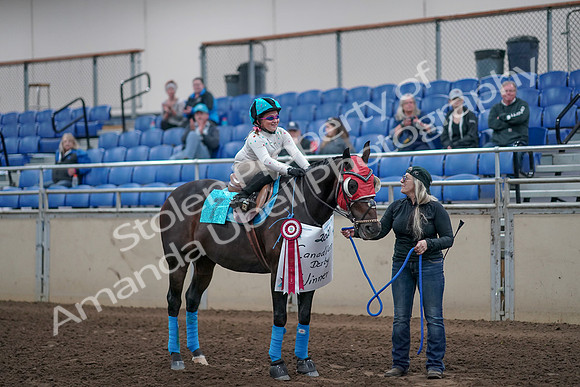 2019 Morgan Horse Show - Aug 31, 2019 - 10231