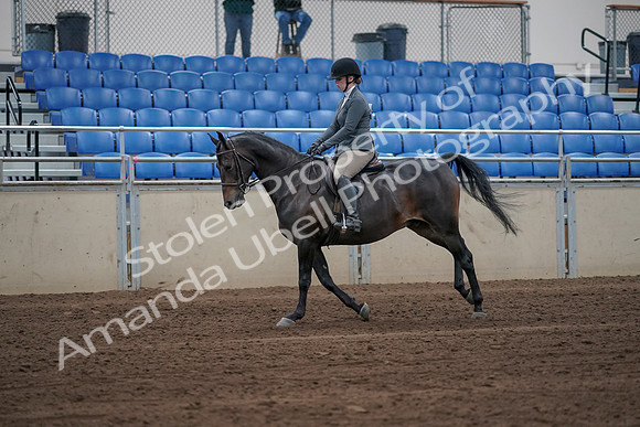 2019 Morgan Horse Show - Sept 01, 2019 - 10960_1