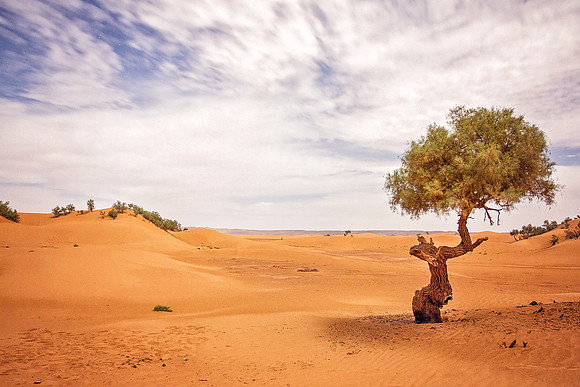 Morocco - 124