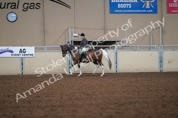 2019 Morgan Horse Show - Aug 30, 2019 - 16152