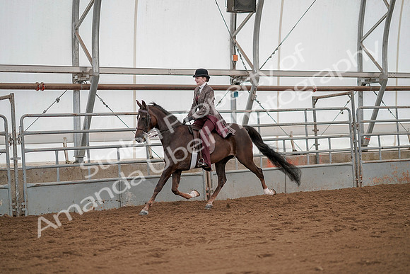 July 20, 2019 - 04446